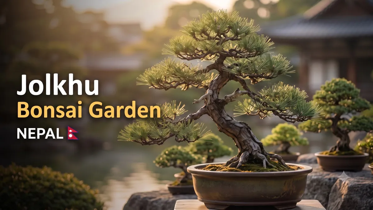 JolkhuBonsaiGarden