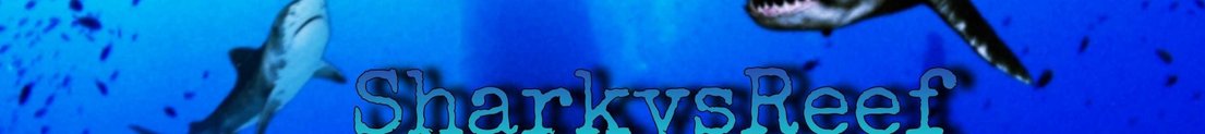 sharkysreef