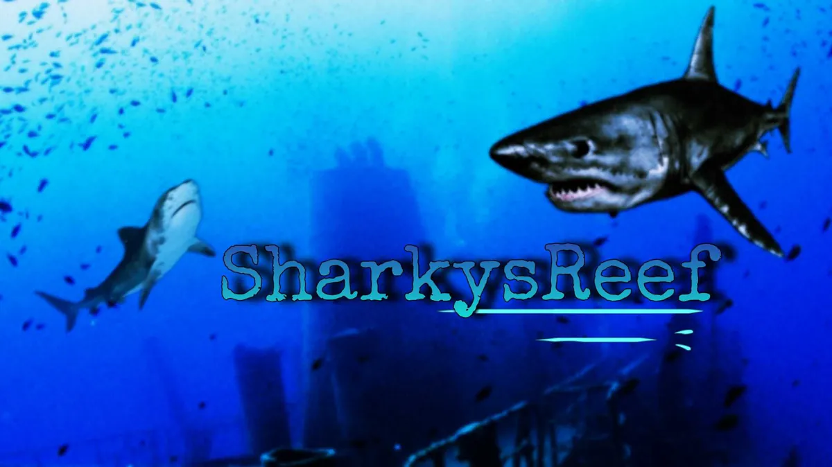 sharkysreef