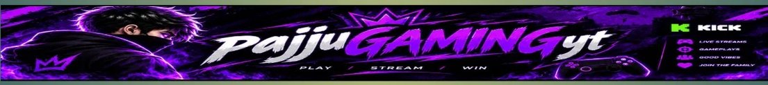 pajjuGAMINGyt