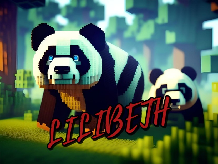 SOY_LILIBETH