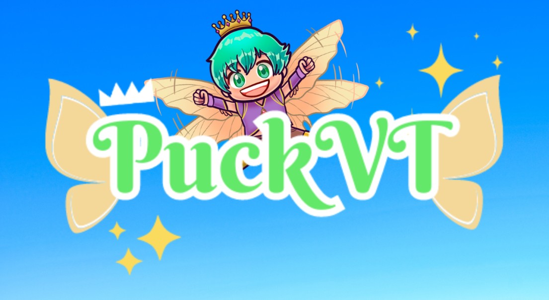 PuckVT