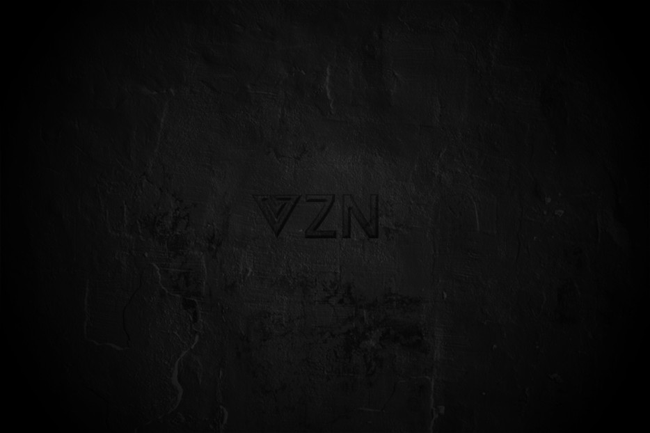 vzn1