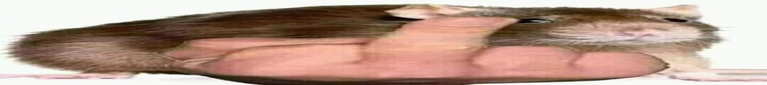 ObitoDota2