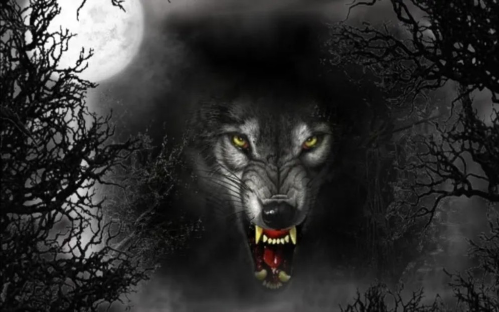 CrazedxWolf