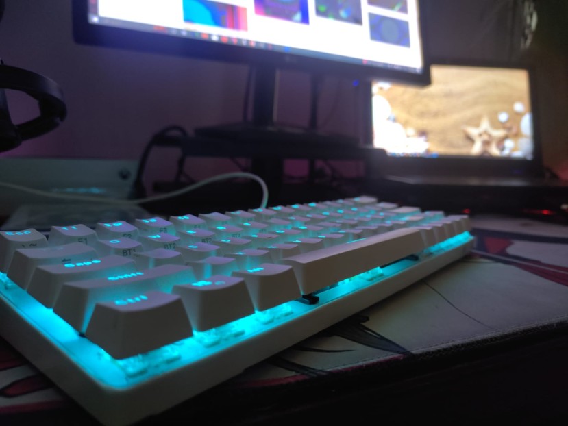 VCaspin