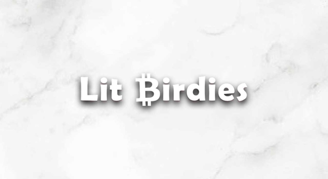 LitBirdies