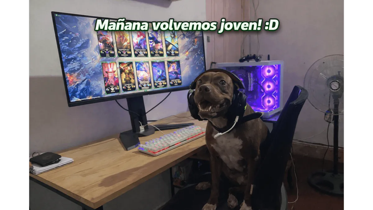 Maximusftz