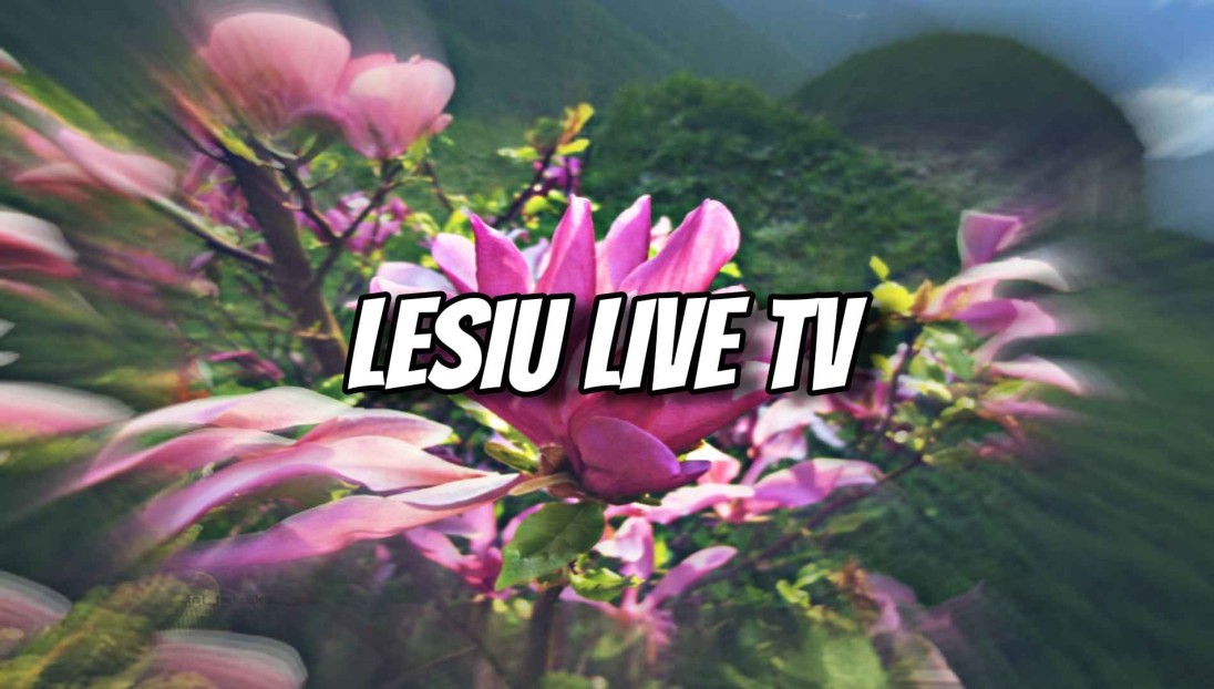 LesiuLiveTV