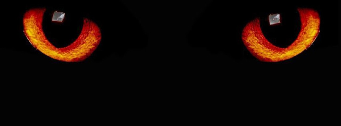 psico