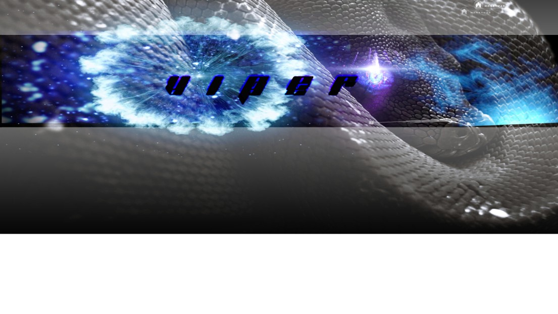 Viper2811