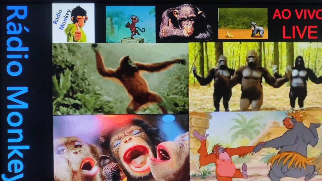 radiomonkey