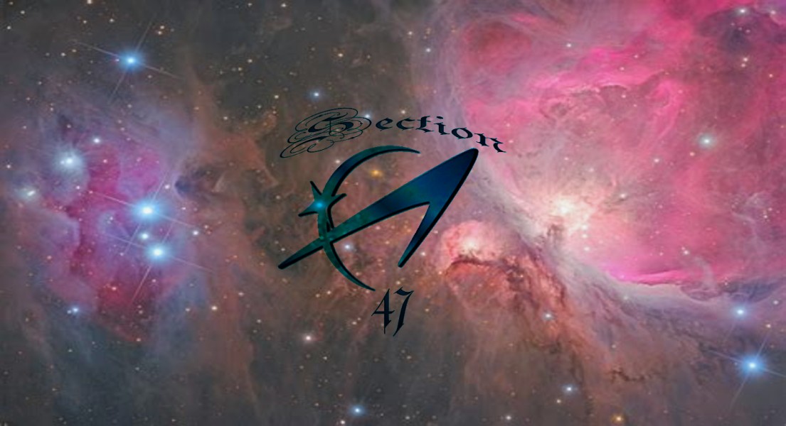 Section47