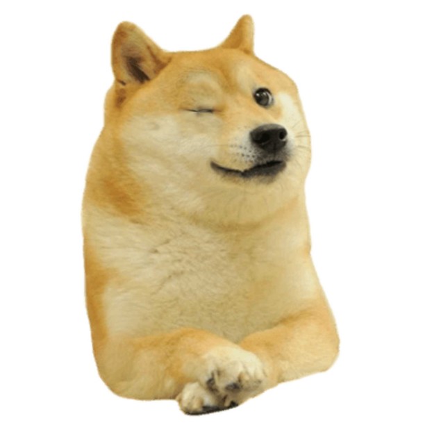 wink101