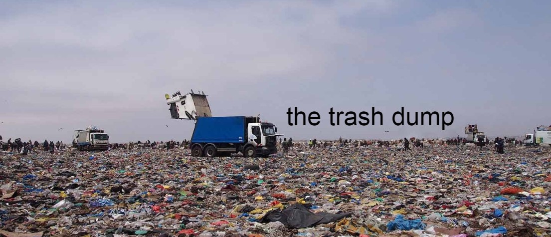 Trashpandayoung