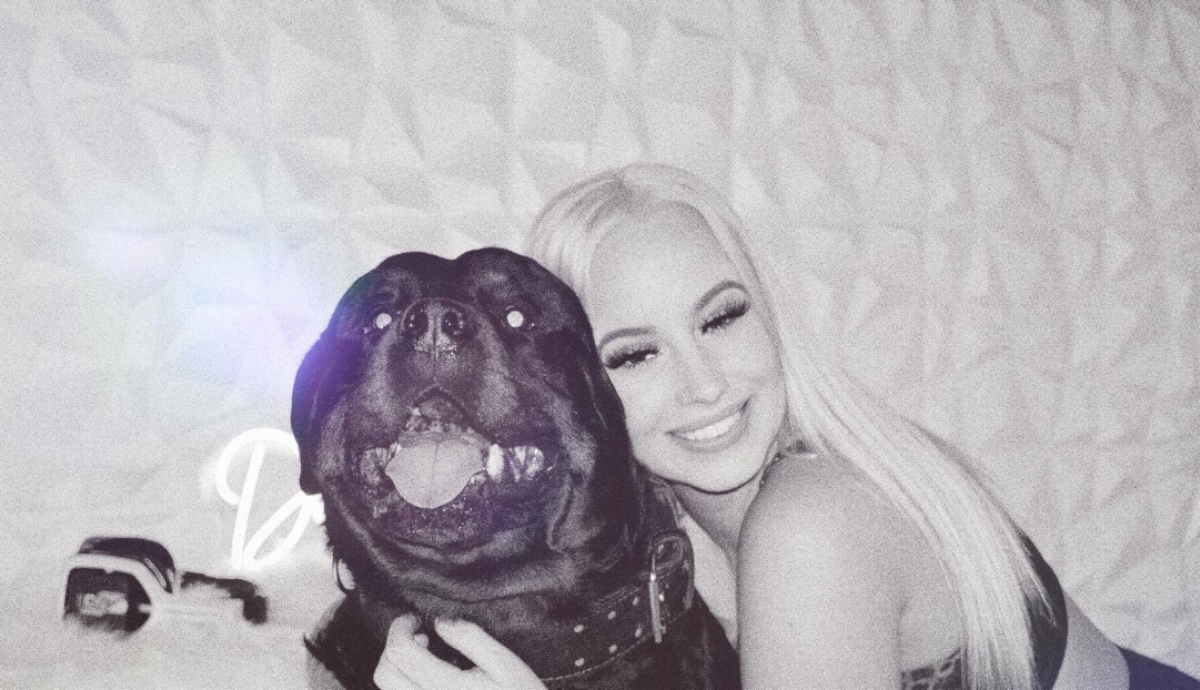 DamnMaddie