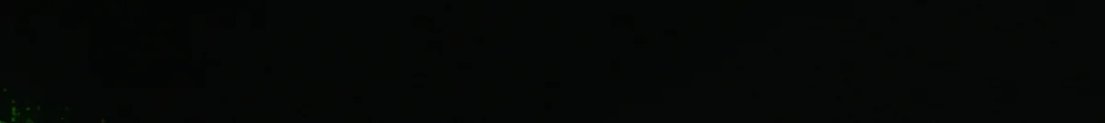 xwhylive