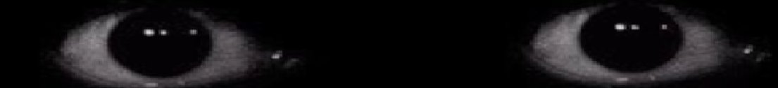 Misanthr0py