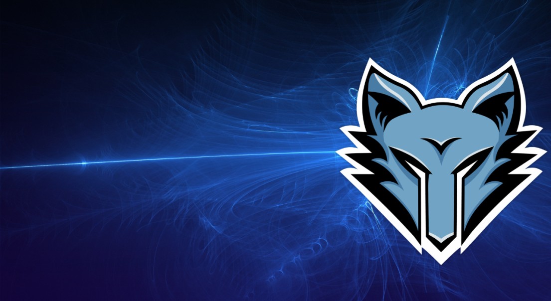 TheDireKnight