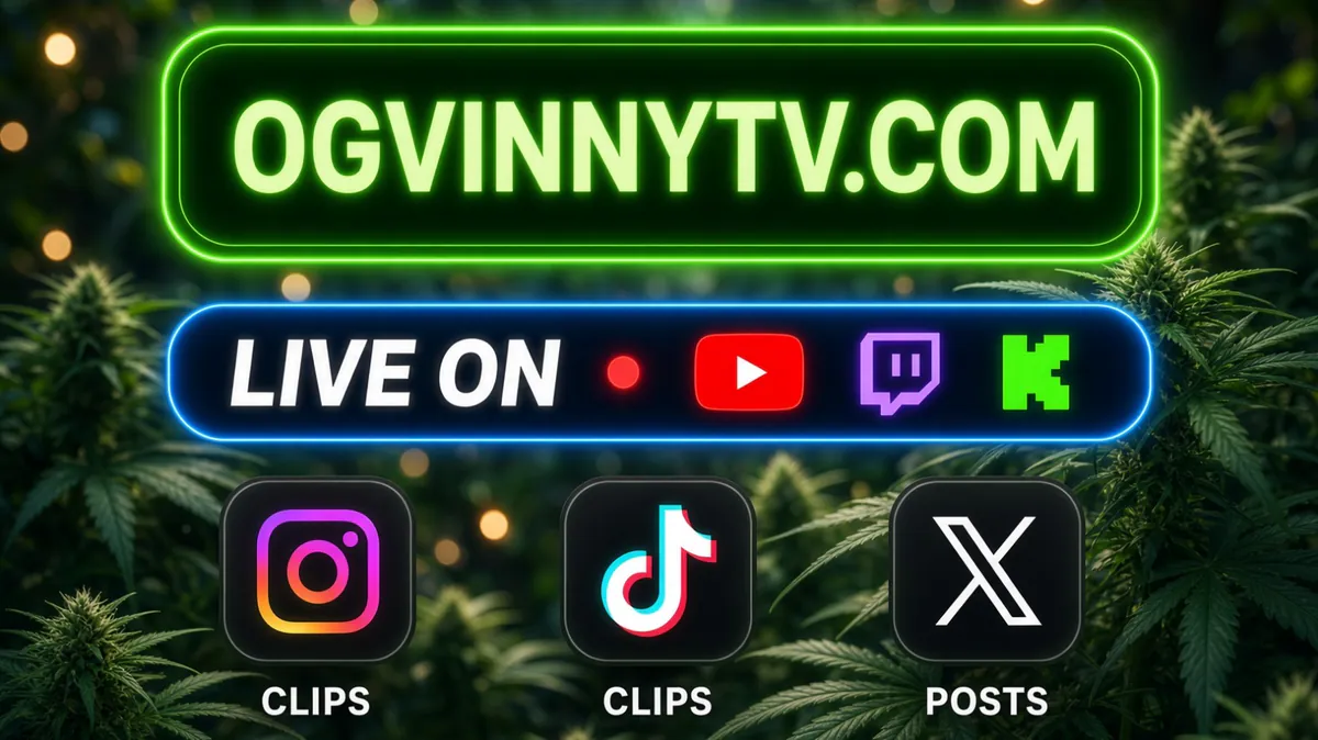 OGVinnyTV