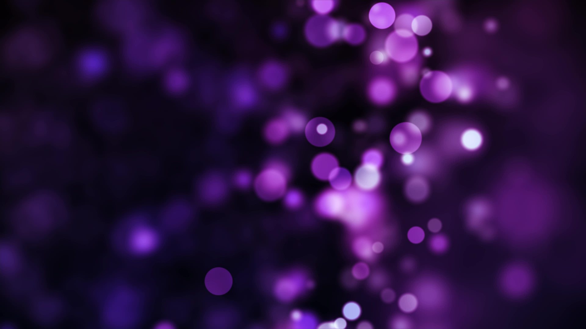 Kick banner for @vindictive