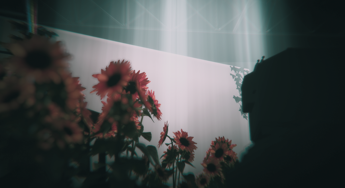 Kick banner for @kentoka