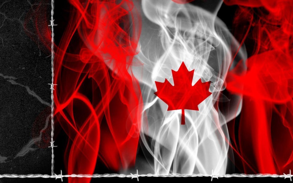 CDNBreeze