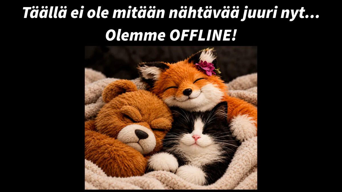 Kettuli_ja_Nallukka