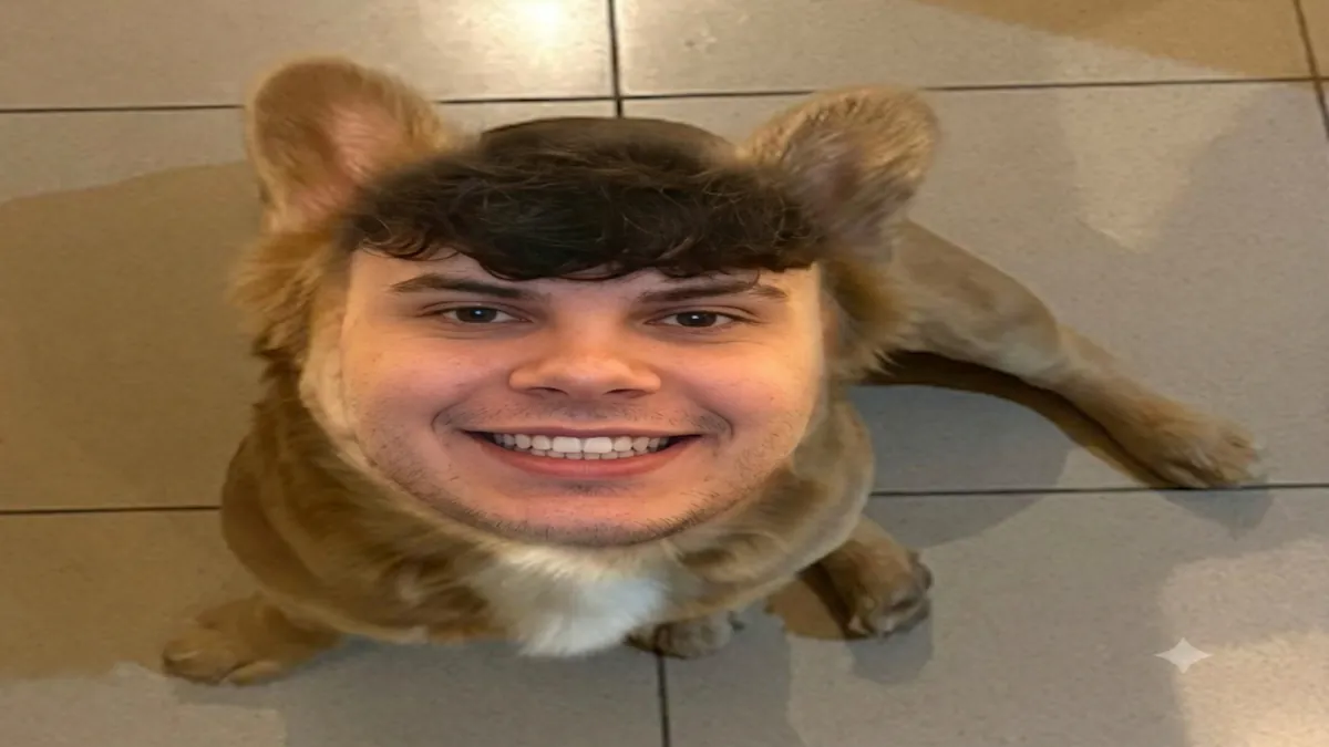 xOwNz