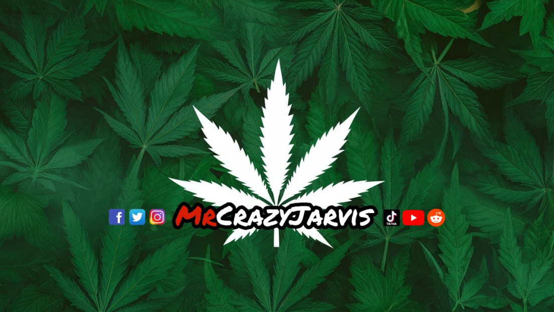 MrCrazyJarvis