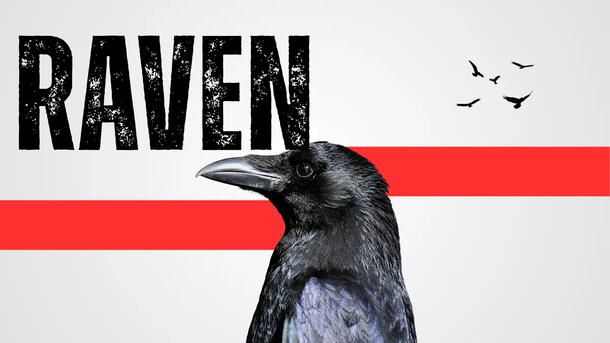 YO_RAVEN