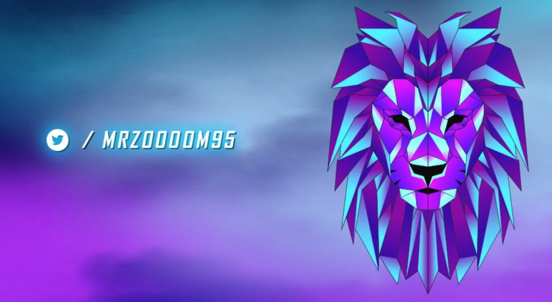 MrZoooom95