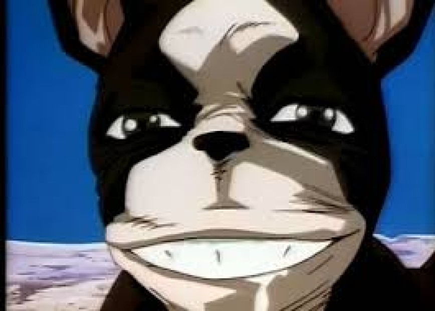 Kurcito