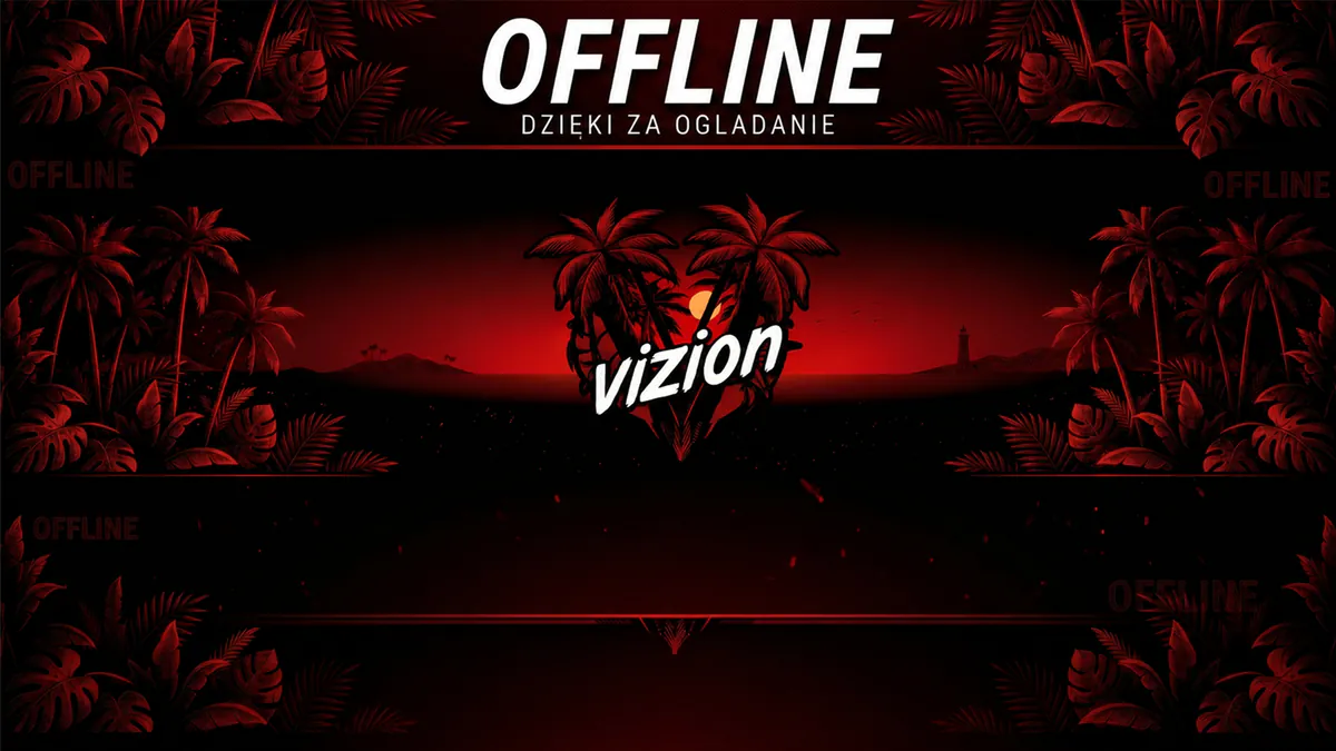 Vizionpl1