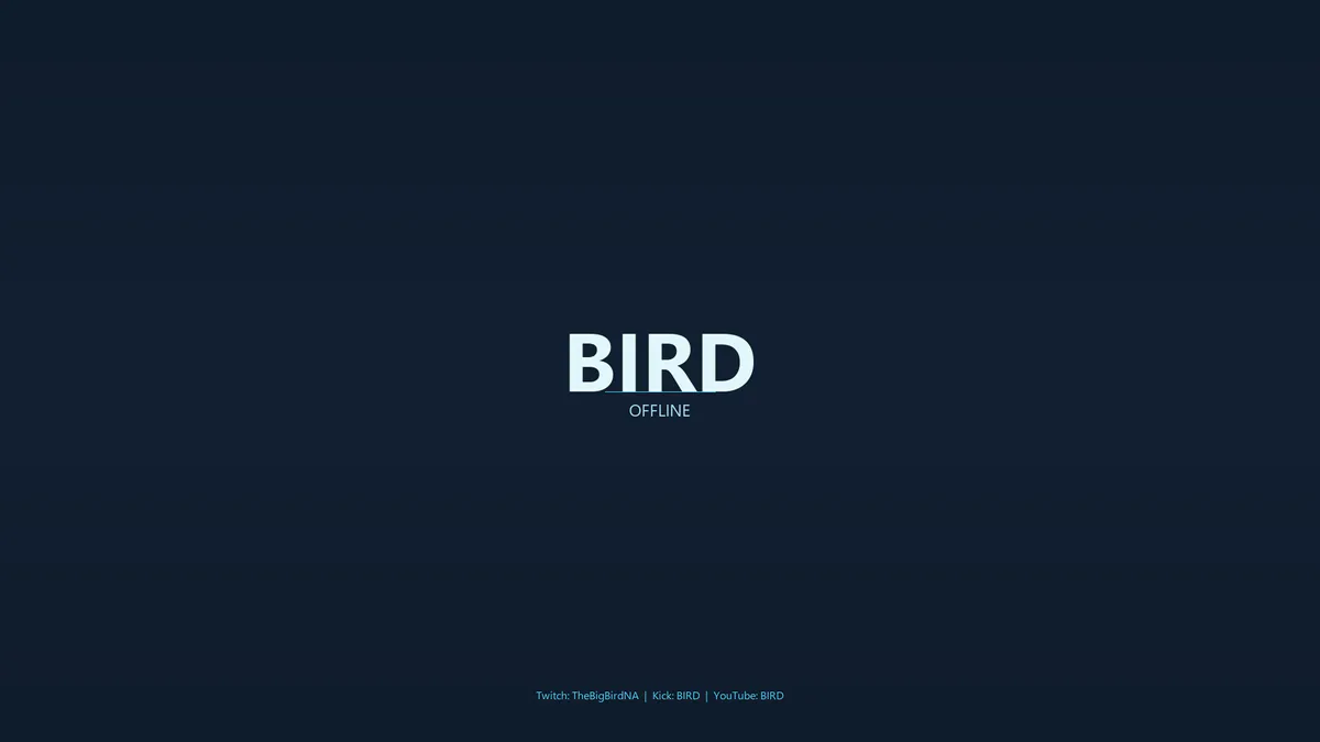 TheBigBIrdNa