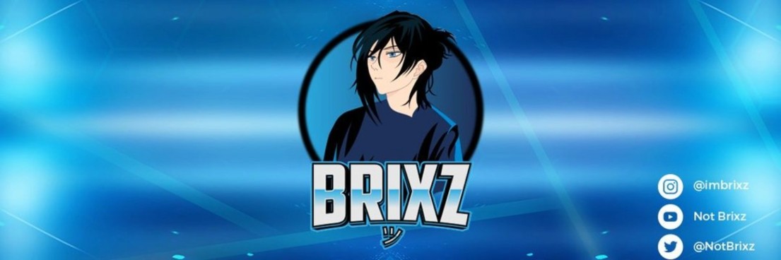 DYNBrixz