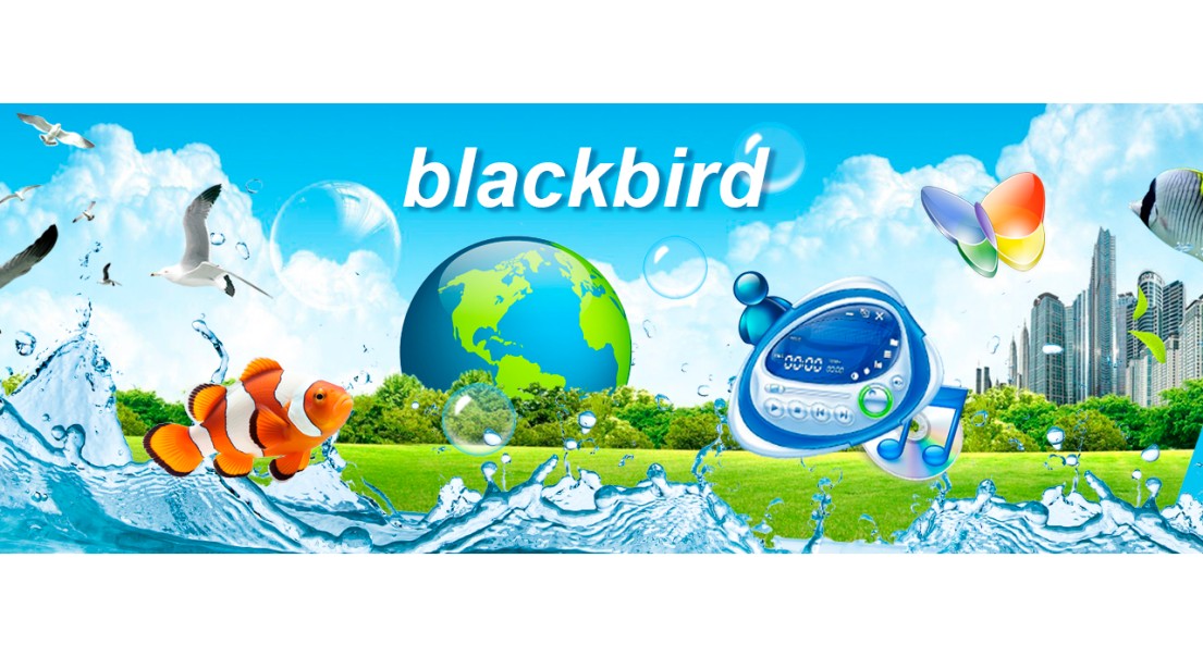 Blackbird