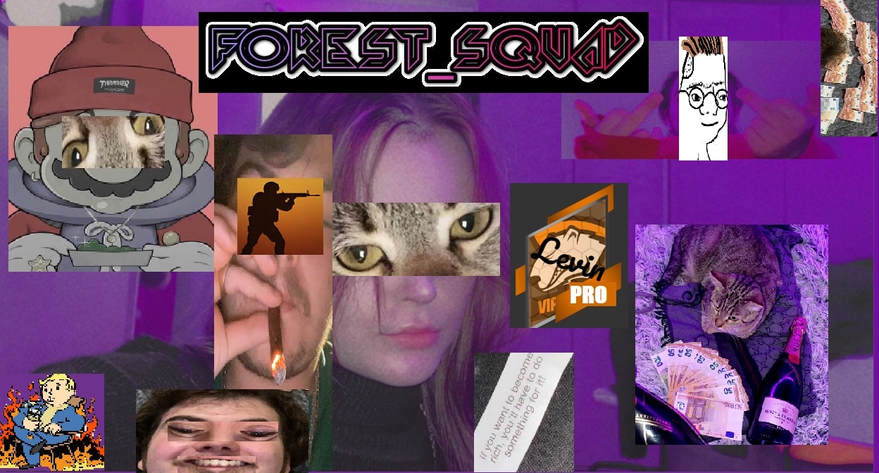 Kick banner for @levin