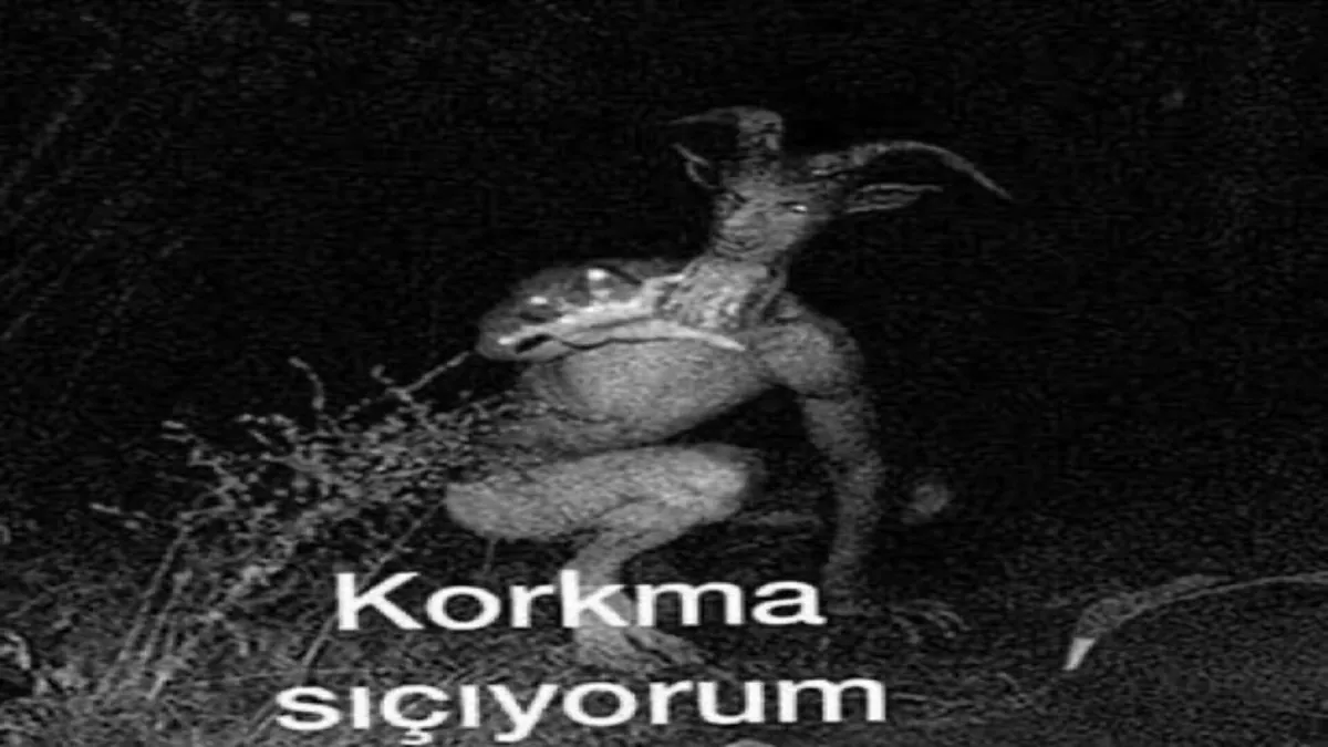 Nasluna