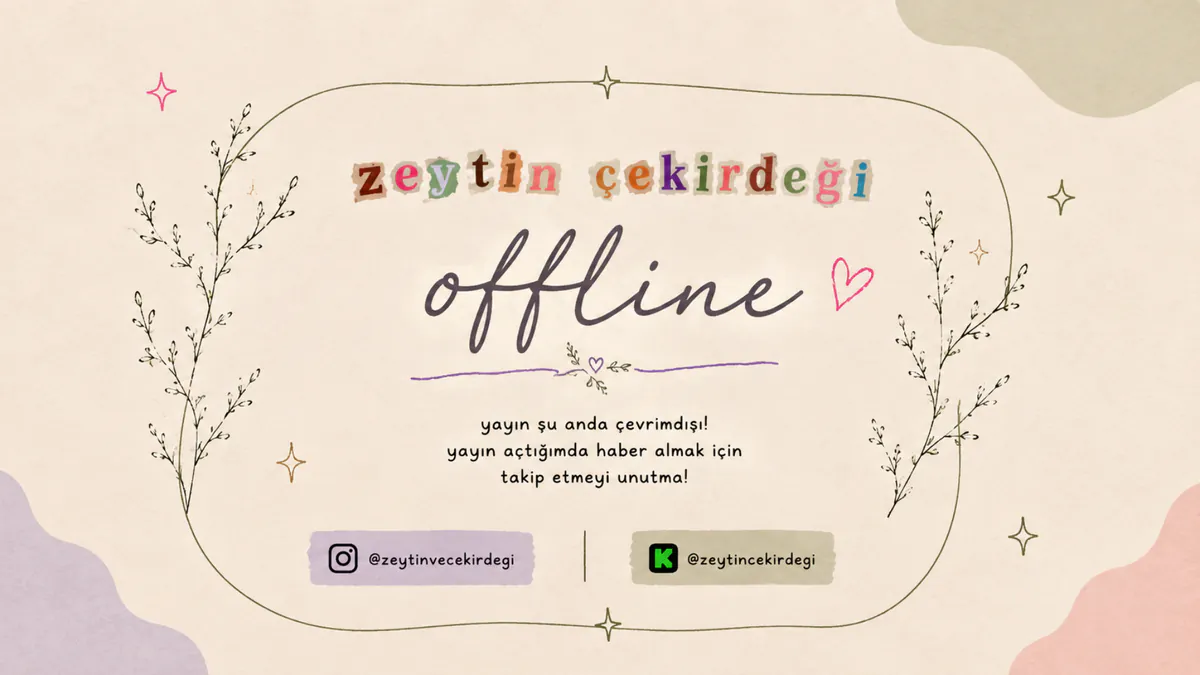ZeytinCekirdegi