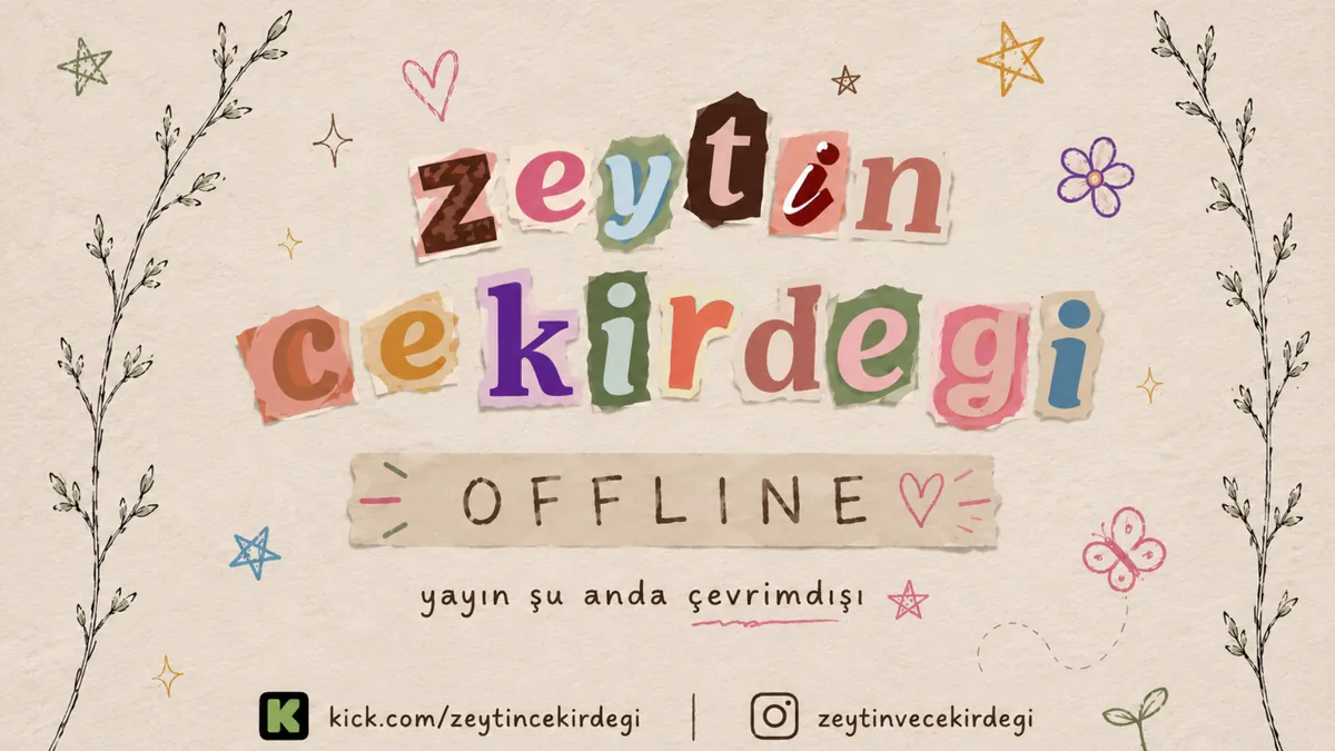 ZeytinCekirdegi
