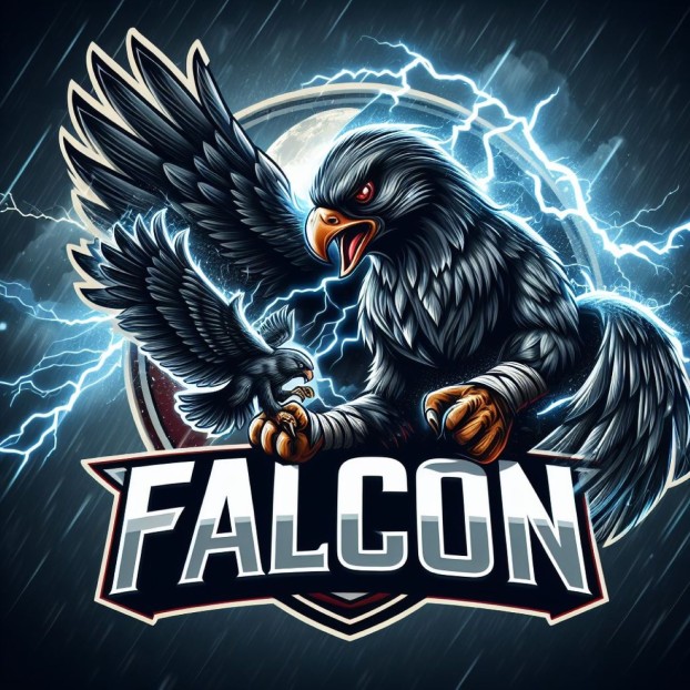 FalconsTv
