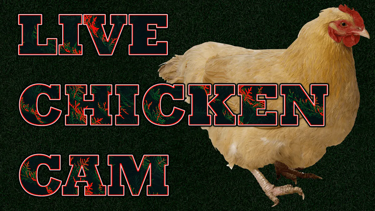 nicckrm