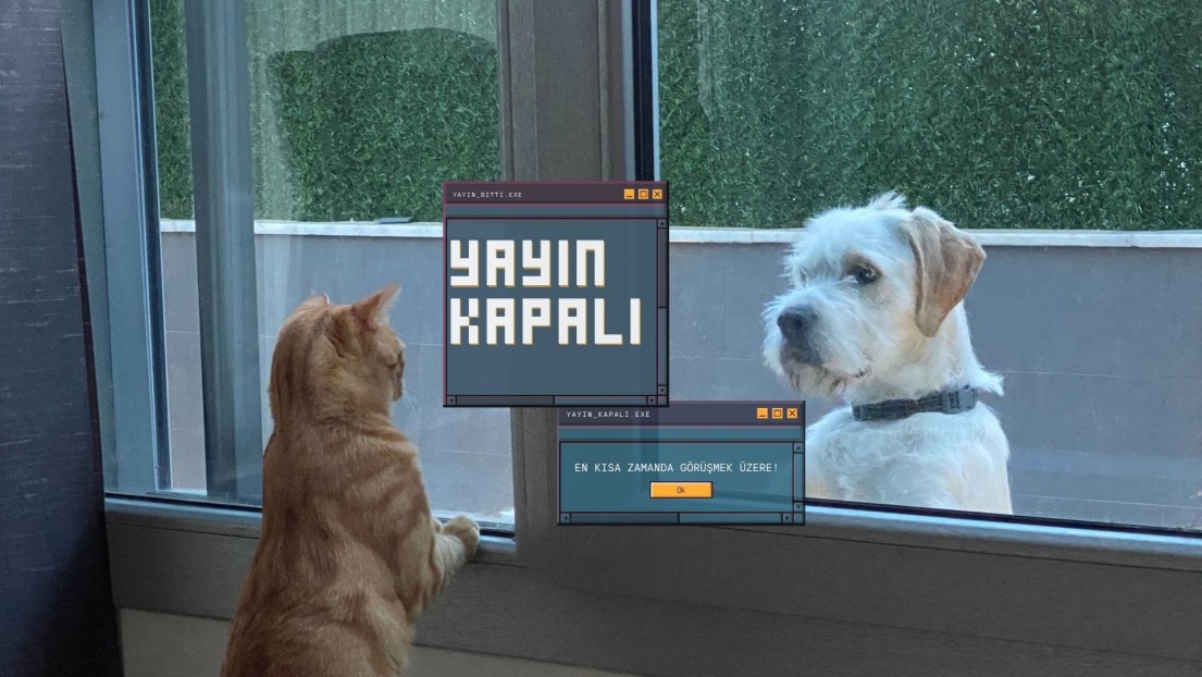 FatihMehmet