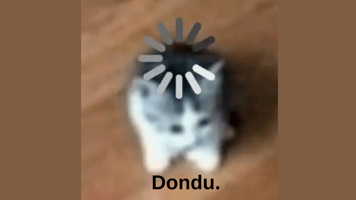 burako00