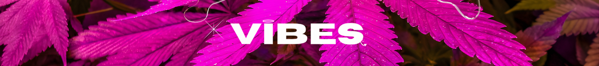 Kick banner for @vibes