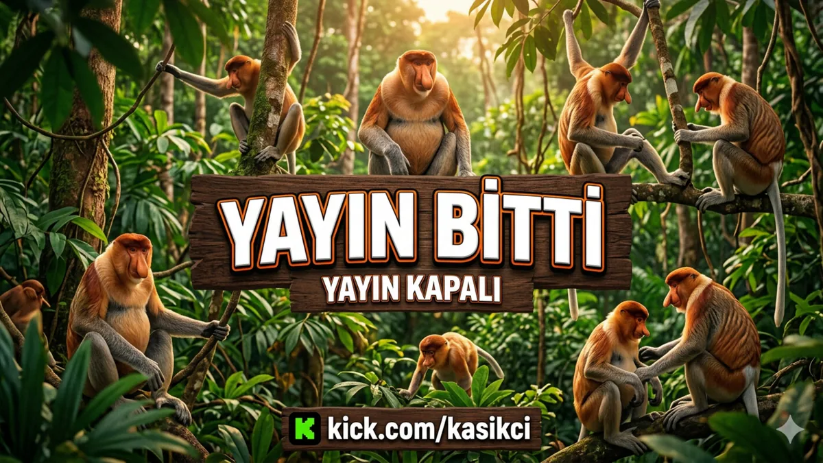 kasikci