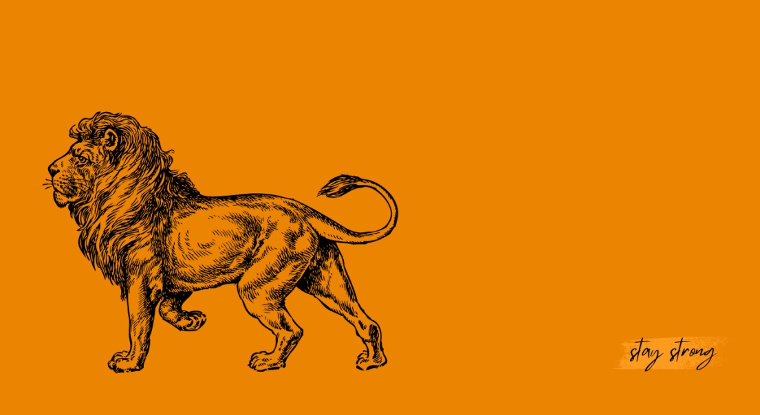 Animalpakk305