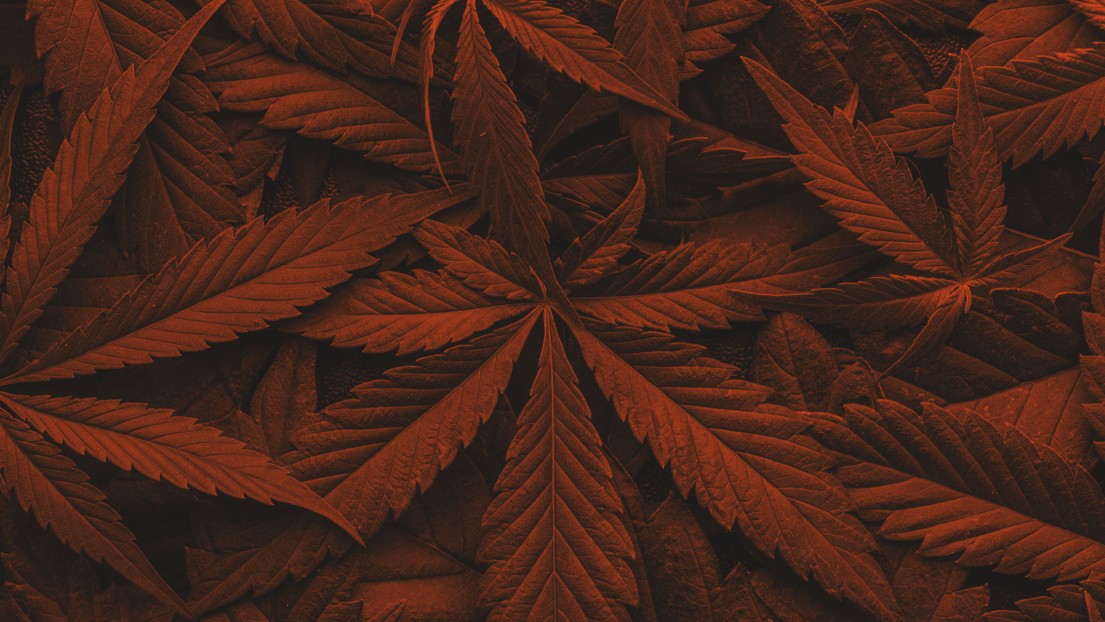 LaDiabla420