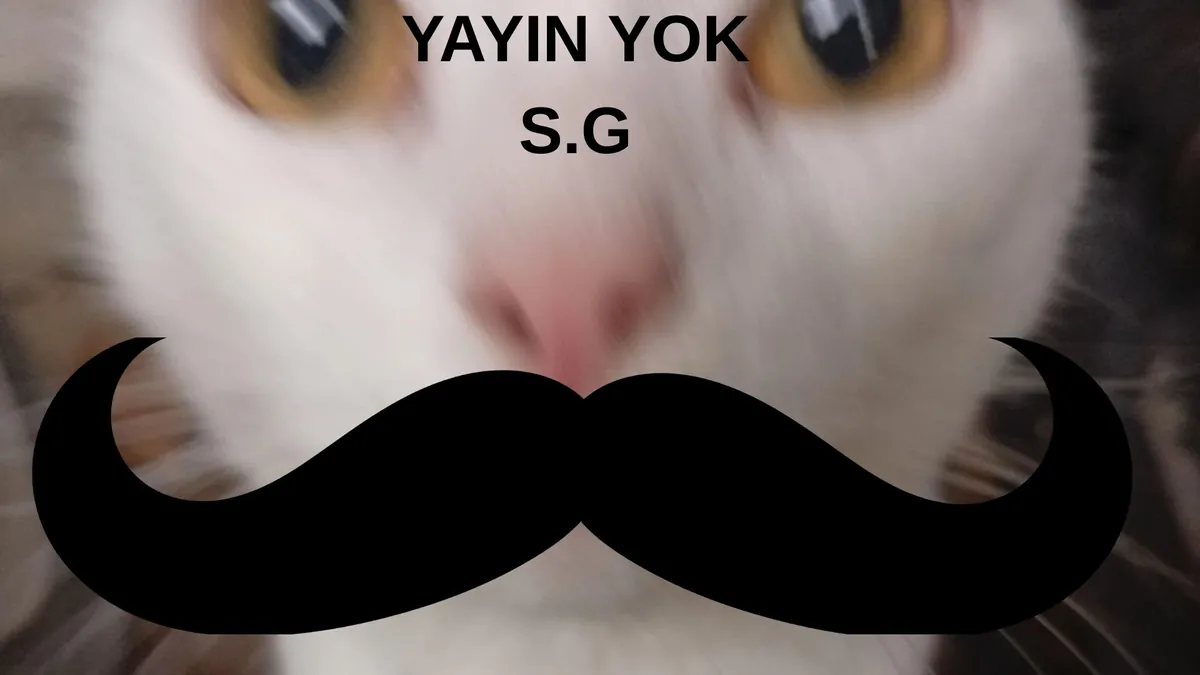NihilistKedi